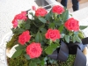 buffetdekoration_img_0409.jpg