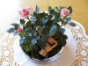 buffetdekoration_img_0413.jpg