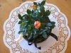 buffetdekoration_img_0415.jpg