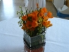 img_4614.jpg